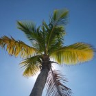 Grace Bay, Turks- en Caicoseilanden: geweldige stranden