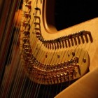 Harp, geschiedenis en verschillende soorten