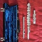 Dwarsfluitmethode "Learn as You Play: Fluit"