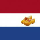 Nederlandse successen in de Amerikaanse hitparade 1959-2020