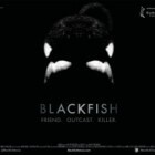 Blackfish; orka's in gevangenschap