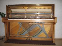 Kruissnarige piano / Bron: Sander de Jong, Wikimedia Commons (CC BY-SA-2.5)